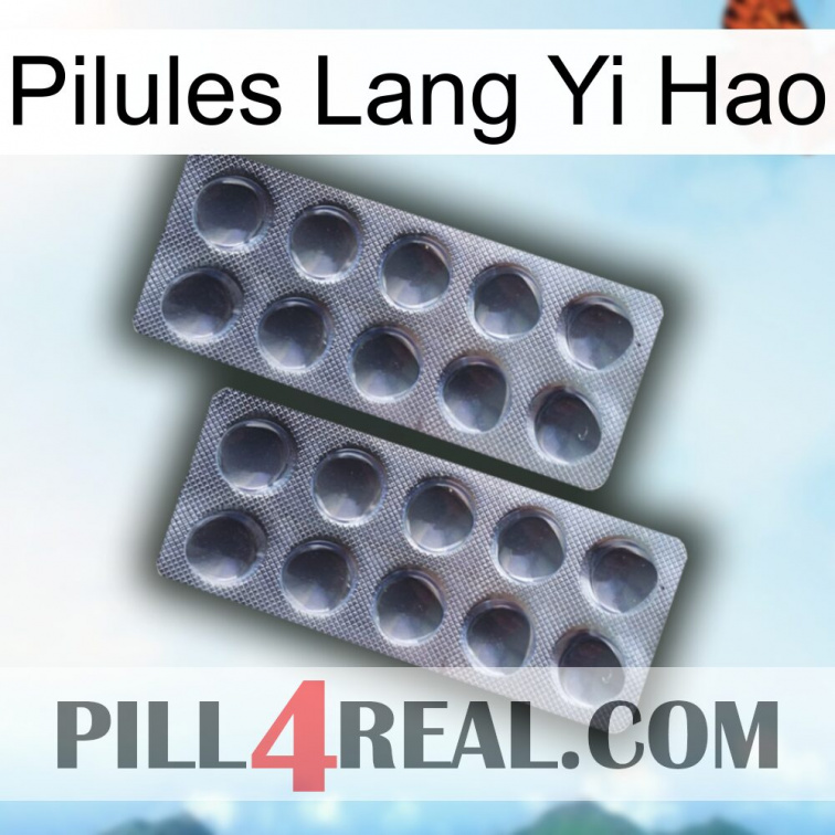 Lang Yi Hao Pills 31